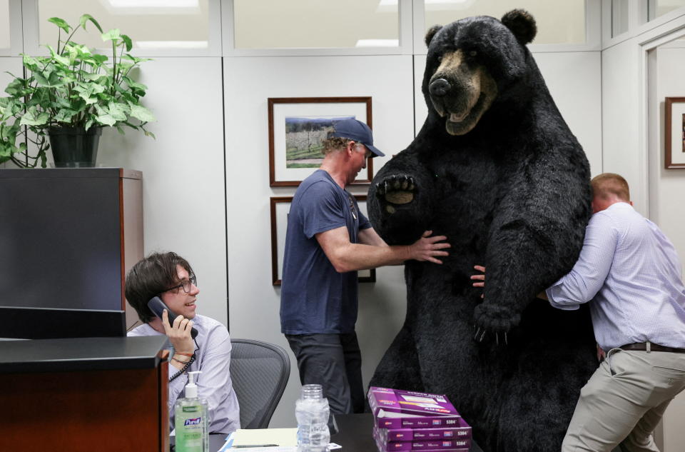 A statue of the Kodak bear is placed to decorate the office of Senator Jean Shaheen (D-N.H) as intern Roderick Emily takes calls, in Washington, DC on June 7, 2022 (Reuters/Evelyn Hochstein)