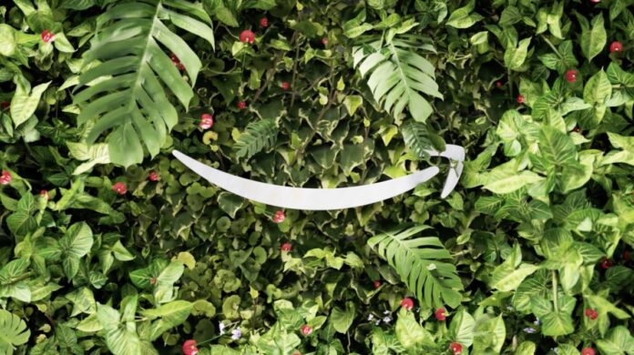 Amazon logo - greenery