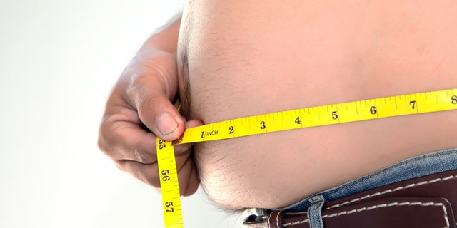 A fat person measures his stomach.