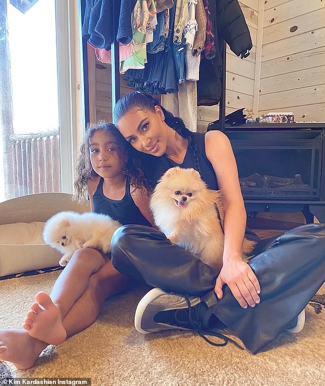 Woof: The dogs were last seen on Kim's Instagram last year with daughter North West, nine, whose father is rapper Kanye West