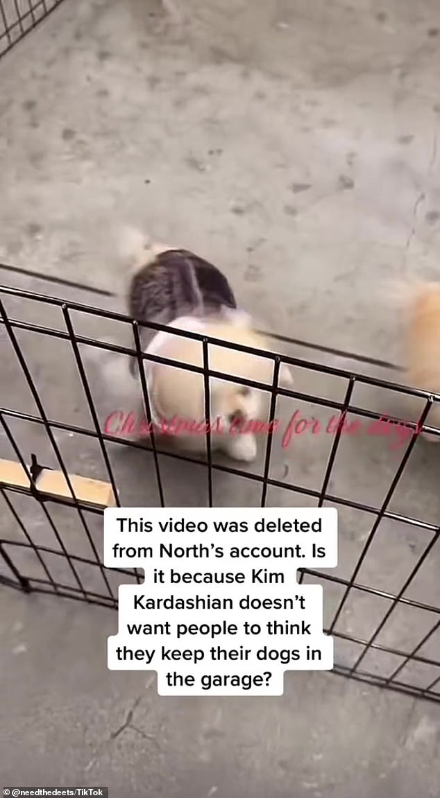 Post and delete: The video - which was reposted by @NeedTheDeets - was met with backlash as fans called out Kim for not providing her dogs with a better living arrangement