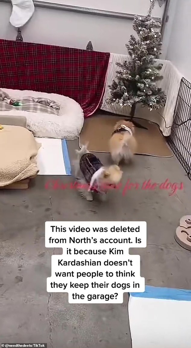 IN THE GARAGE: The reality TV star posted and deleted a TikTok video that showed two Pomeranians, Sushi and Saki, lounging around in a pen equipped with pee pads
