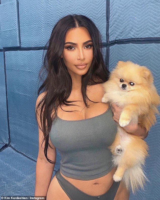 Backlash: Kim Kardashian, 42, receives backlash over video showing her two dogs living in the garage of her mansion
