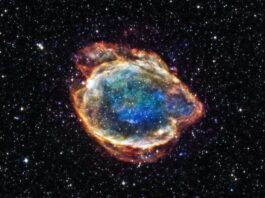 Type Ia supernovae: inside the universe's largest explosions

