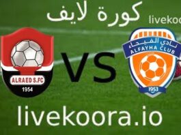 Watch the Al-Fayhaa and Al-Raed match, broadcast live, koora live, today 01-09-2023, in the Saudi League
