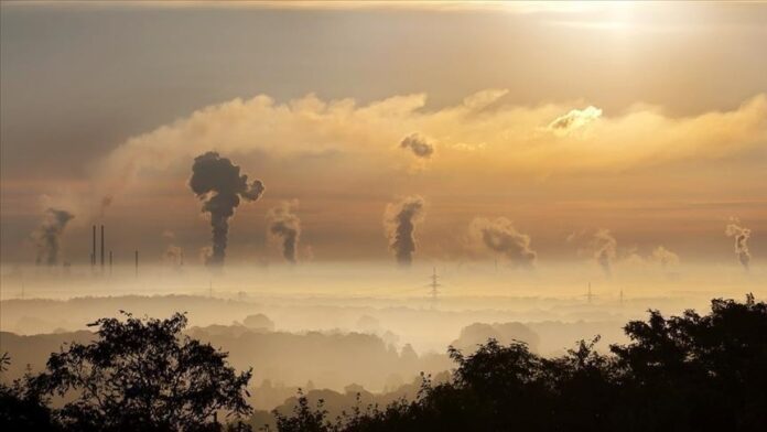 Climate activists reject Africa Carbon Markets Initiative