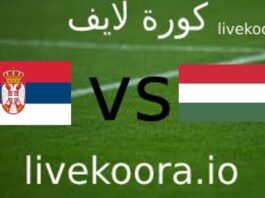 Watch the Hungary and Serbia match Kora Live today 10/14/2023 in the European Nations qualifiers
