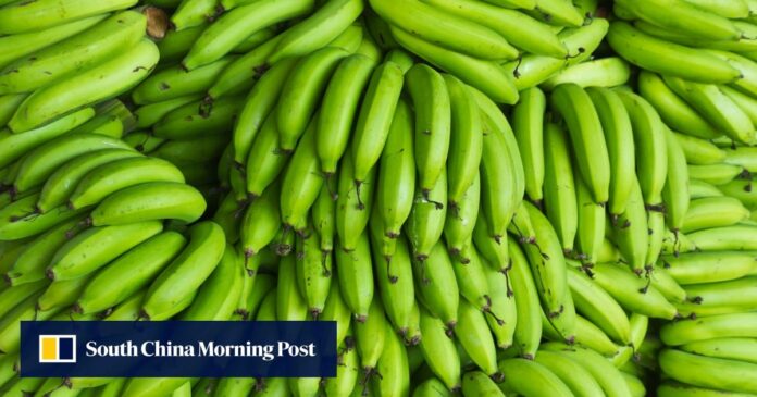Freeze nuts and eat green bananas: 10 ways to get maximum nutrients in food

