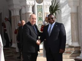 Establishment of a joint business council for trade cooperation with Sierra Leone - Algerian Dialogue
