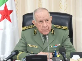 Lieutenant General Saeed Chengriha: Algeria will remain loyal to its principles regarding just causes across the world - Algerian Dialogue
