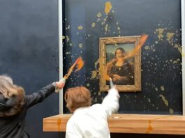Protesters throw soup at the Mona Lisa

