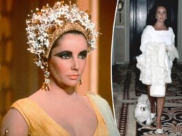 Elizabeth Taylor's drug-addicted lifestyle was so dirty that she contracted Malta fever from her dogs: book


