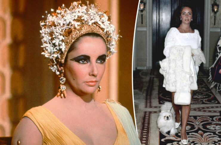Elizabeth Taylor's drug-addicted lifestyle was so dirty that she contracted Malta fever from her dogs: book

