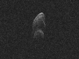A black-and-white image of a vertical object with two lobes on a black background.